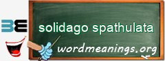 WordMeaning blackboard for solidago spathulata